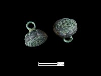 鈕子藏品圖，第2張