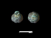 鈕子藏品圖，第1張