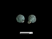 鈕子藏品圖，第3張