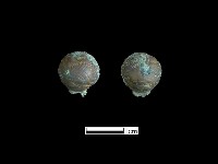 鈕子藏品圖，第1張