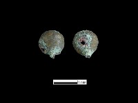 鈕子藏品圖，第2張