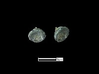 墜飾藏品圖，第2張