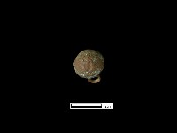 鈕子藏品圖，第1張