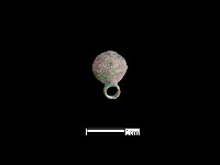 鈕子藏品圖，第2張