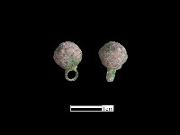 鈕子藏品圖，第1張