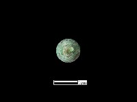 墜飾藏品圖，第2張