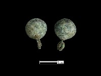 鈕子藏品圖，第2張