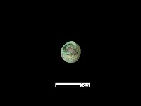 墜飾藏品圖，第1張