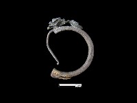 耳環藏品圖，第3張