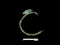 耳環藏品圖，第1張