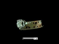 耳環藏品圖，第2張