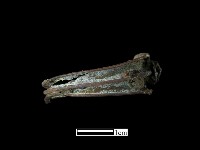 耳環藏品圖，第1張