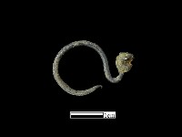 耳環藏品圖，第1張