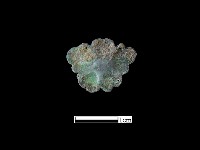 飾品藏品圖，第1張