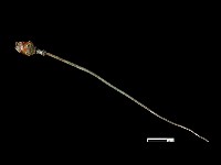 髮簪藏品圖，第1張