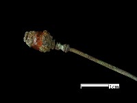 髮簪藏品圖，第2張