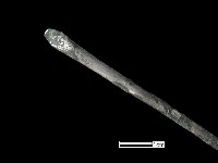 髮簪藏品圖，第2張