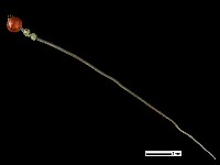 髮簪藏品圖，第2張