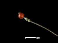 髮簪藏品圖，第4張