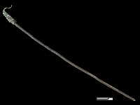 髮簪藏品圖，第1張