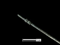 髮簪藏品圖，第3張