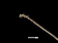 髮簪藏品圖，第4張