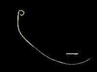 髮簪藏品圖，第2張