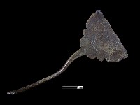 髮簪藏品圖，第1張