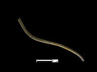 髮簪藏品圖，第4張