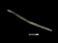 髮簪藏品圖，第2張