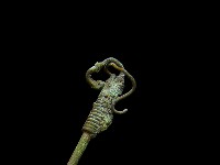 髮簪藏品圖，第2張