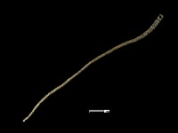 髮簪藏品圖，第2張