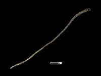 髮簪藏品圖，第1張