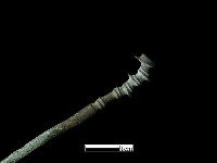 髮簪藏品圖，第1張