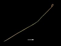 髮簪藏品圖，第2張