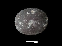 銅製品藏品圖，第2張