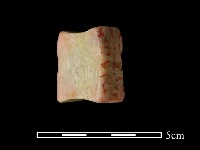 印章藏品圖，第1張