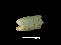 煙嘴藏品圖，第1張