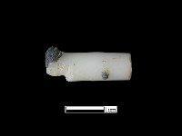 髮簪藏品圖，第2張