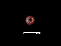 玻璃珠藏品圖，第2張