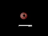 玻璃珠藏品圖，第3張