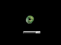 玻璃珠藏品圖，第2張