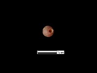 玻璃珠藏品圖，第3張