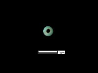 玻璃珠藏品圖，第2張