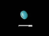 玻璃珠藏品圖，第3張