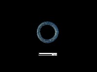 小環藏品圖，第1張