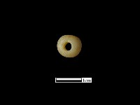 玉石珠藏品圖，第2張