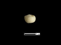 玉石珠藏品圖，第3張