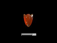 瑪瑙珠藏品圖，第2張