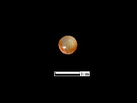 瑪瑙珠藏品圖，第3張